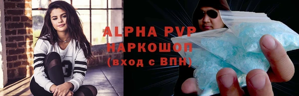 стафф Заводоуковск