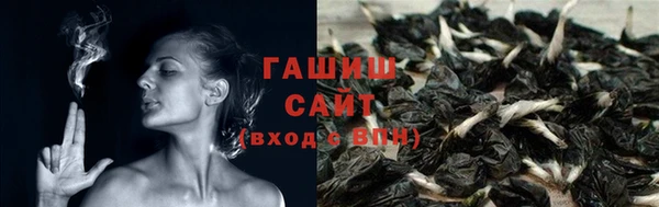 стафф Заводоуковск