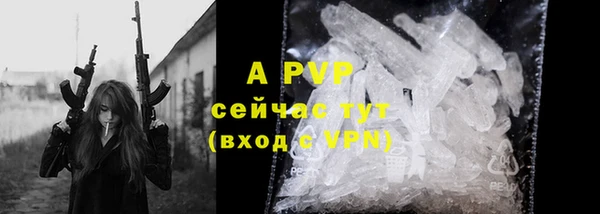 стафф Заводоуковск
