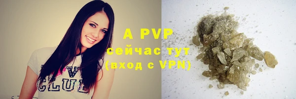 эйфоретик Заволжье