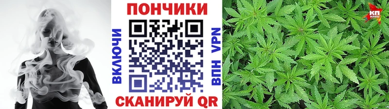 Марихуана OG Kush  цена   Калач 
